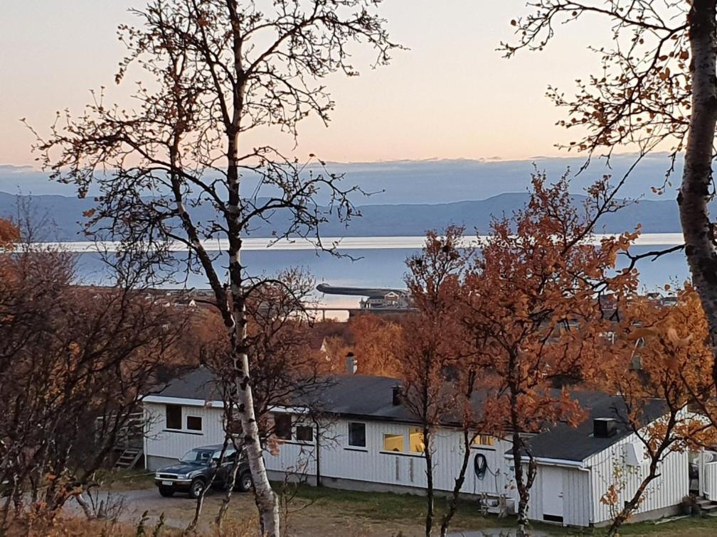 Varangertunet Arctic Resort Jakobselv Exterior foto